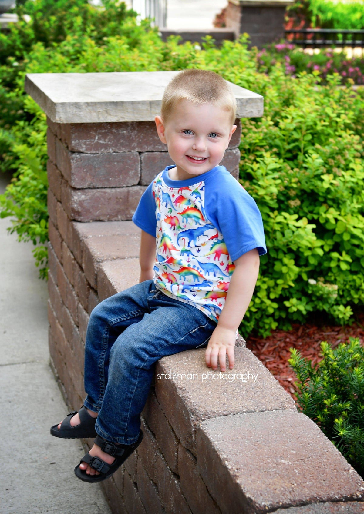 Pastel Dinosaur Milk Silk Raglan - Great Lakes Kids Apparel LLC