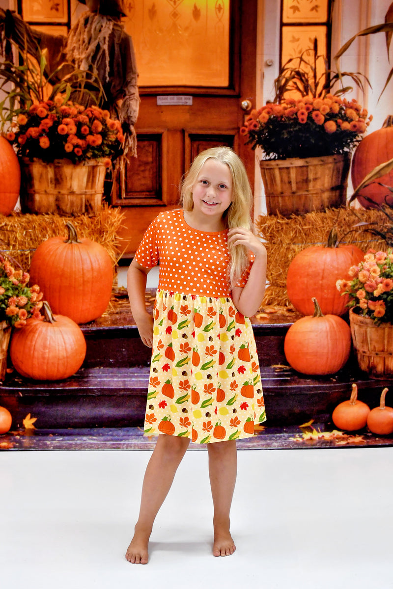 Pumpkin Kisses and Harvest Wishes Short Sleeve Milk Silk Dress - Great Lakes Kids Apparel LLC